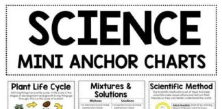 Science infographic – Science Poster Bundle