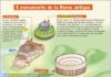 Science infographic – Educational infographic : 5 monuments de la Rome antique…