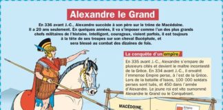 Science infographic – Science infographic – Alexandre le Grand