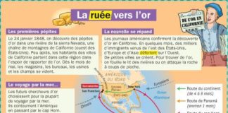 Science infographic – Science infographic – CULTURE – La ruée vers l’or