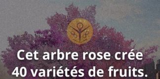 Science infographic – Science infographic – C’est possible ça?…