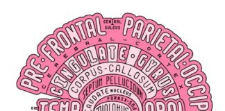 Science infographic – Science infographic – Cet artiste décompose l’anatomie du corps et des objets en jouant avec la typographie