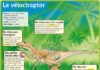Science infographic – Science infographic – Dans la série “Les dinosaures”.