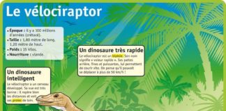 Science infographic – Science infographic – Dans la série “Les dinosaures”.