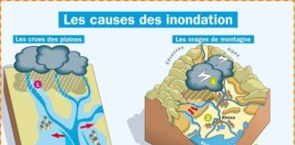 Science infographic – Science infographic – Educational infographic : Les causes des inondations