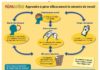 Science infographic – Science infographic – Enseigner aux enfants comment fonctionne la mémoire de travail Pour en savoir d…