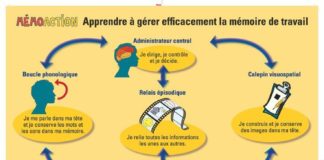 Science infographic – Science infographic – Enseigner aux enfants comment fonctionne la mémoire de travail Pour en savoir d…