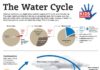 Science infographic – Science infographic – Ever wonder where that water you’re drinking comes from? Teach kids about the path that water takes from the earth to the atmosphere and back again with this downloadable infographic.