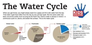 Science infographic – Science infographic – Ever wonder where that water you’re drinking comes from? Teach kids about the path that water takes from the earth to the atmosphere and back again with this downloadable infographic.