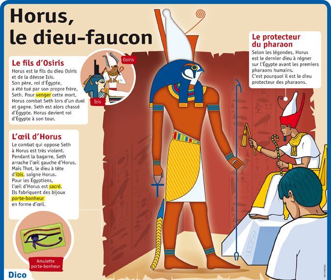 Science infographic - Science infographic - Fiche exposés : Horus, le ...