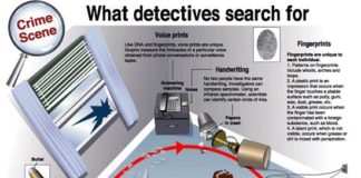 Science infographic – Science infographic – Great Infographic for our students at Forensic Training Unlimited!