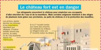 Science infographic – Science infographic – Histoire 5e > L’ordre seigneurial.