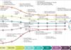 Science infographic – Science infographic – History of Data Science