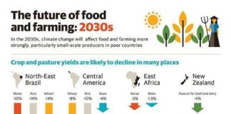 Science infographic – Science infographic – Infographic: The Impact of Climate Change on the Future of Farming