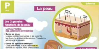 Science infographic – Science infographic – La peau