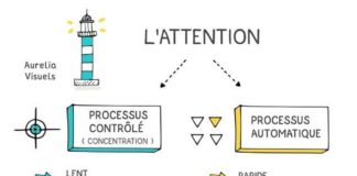 Science infographic – Science infographic – L’attention: processus contrôlé et processus automatique { sketchnote } – ⇥ Aurelia Visuels ⇤