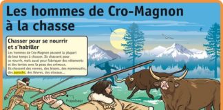 Science infographic – Science infographic – Les hommes de Cro-Magnon à la chasse