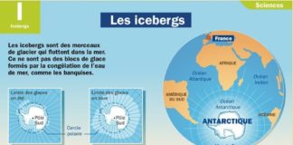 Science infographic – Science infographic – Les icebergs