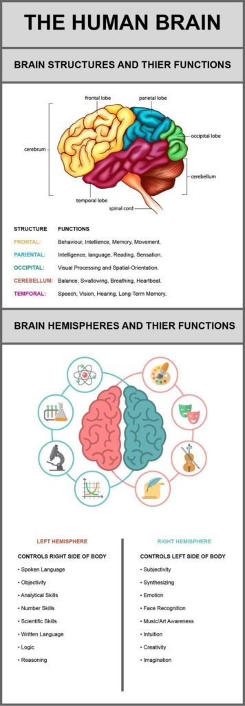 Science infographic - Science infographic - Medical infographic ...