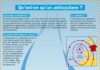 Science infographic – Science infographic – Mon Quotidien, le seul journal d’actualité pour les enfants de 10-14 ans