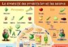 Science infographic – Science infographic – Produits de saison