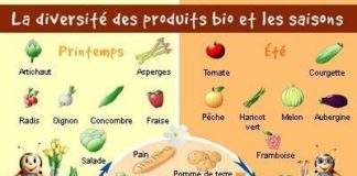 Science infographic – Science infographic – Produits de saison