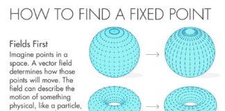 Science infographic – Science infographic – Quanta Magazine
