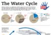 Science infographic – Science infographic – Science infographic – Ever wonder where that water you’re drinking comes from? Teach kids about the path that water takes from the earth to the atmosphere and back again with this downloadable infographic.