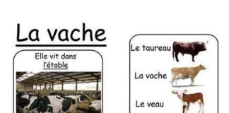 Science infographic – Science infographic – Wall