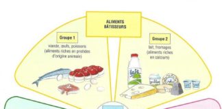 Science infographic – Science infographic – les groupes daliments Plus