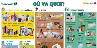 Science infographic – Science infographic – où va quoi ? infographie – défis mondiaux, l’environnement, le recyclage