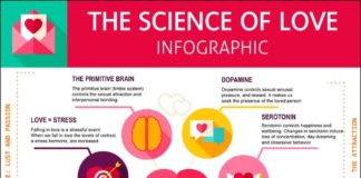 Science infographic – The science of love
