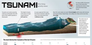 Science infographic – Tsunami: Very long gravity wave