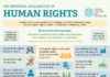 Science infographic – UDHR Infographic | Facing History and Ourselves