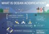 Science infographic – What is Ocean Acidification? Infographic by Elzemiek Zinkstok | Lushomo for the …