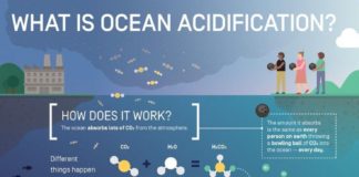 Science infographic – What is Ocean Acidification? Infographic by Elzemiek Zinkstok | Lushomo for the …