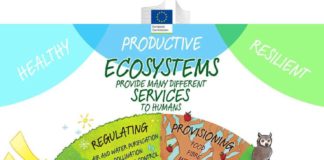 Science infographic – infographic showing how ecosystems provide many different services to humans and…