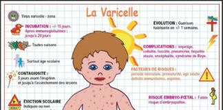 Science infographic – Ça boutonne chez “moa” ! lundi 10 juin 2013 Le réveil sonne à 6 H 15…