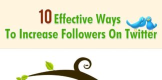 Social media infographic – 10 principes de bases pour développer votre compte Twitter – Infographie