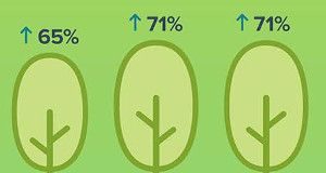 Social media infographic – 11million more conversations were handled through social media than this time la…