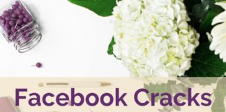 Social media infographic – Facebook Engagement Algorithm Updates – Pop of Colour