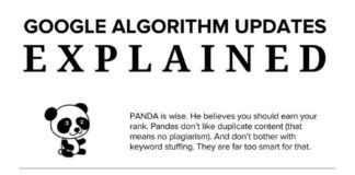 Social media infographic – Google Algorithm Updates Explained