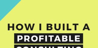 Social media infographic – How I Built A Profitable Consulting Biz In Six Months