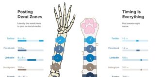 Social media infographic – How Photographers Should Use Social Media