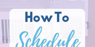 Social media infographic – How To Use This Free Pinterest Scheduler