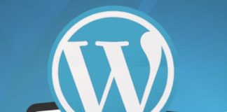 Social media infographic – I like to share my own experiences using WordPress plugins to run Maximize Socia…