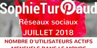 Social media infographic – Infographie : le top 8 des réseaux sociaux dans le monde 2018