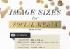 Social media infographic – The Best Blogging Cheat Sheets (Oh Zoe)