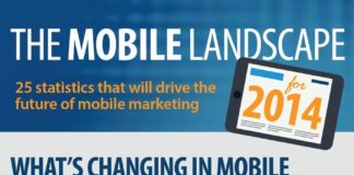 Social media infographic – What Does a Mobile Audience Mean for Small Business