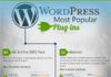 Social media infographic – WordPress : les 30 plugins les plus populaires… et moi